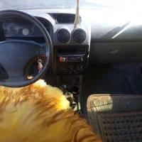 پراید دوگانه کارخانه