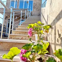 اجاره سوییت در فندقلو