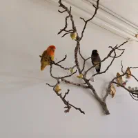 پرنده|پرنده|اصفهان, بهارستان|دیوار