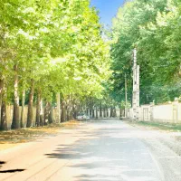 زمین300m-سندتک-برگ-سهیلیه-رامجین-شهرکی-چهاردیواری