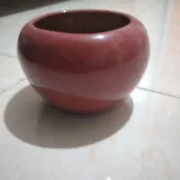 دوتاگلدون باهم ۱۵۰تومن