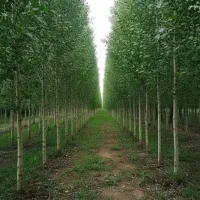 500 هزار هدیه