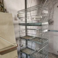 قفس پرون غلامی