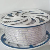 انواع ریسه نور مخفی شیلنگی