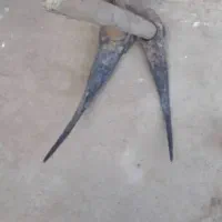 چاه کن|خدمات پیشه و مهارت|سیرجان, |دیوار