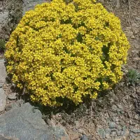 انجام انواع کار تایپ