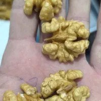 فروش عمده گردو خارجی باکیفیت قیمت خوب|خوردنی و آشامیدنی|اصفهان, شهرک کاوه|دیوار