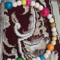 تاب پرنده
