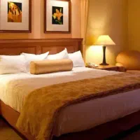 خانم جهت امورات منزل