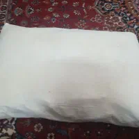 پشتی