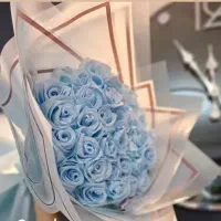 دسته گل و عروسک|اسباببازی|قم, لسانی|دیوار