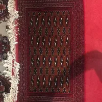 پشتی دستباف تازه بافته شده|پشتی|گنبد کاووس, |دیوار