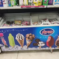 فروش یخچال ایستاده فروشگاهی|فروشگاه و مغازه|رشت, کاکتوس|دیوار