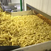 استخدام کارگر ساده آقا و خانم ، شیفت عصر و شب|استخدام صنعتی، فنی، مهندسی|شاهین‌شهر, شهرک صنعتی اصفهان|دیوار