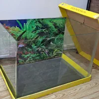 آکواریوم|ماهی|تهران, شهرک امام خمینی|دیوار