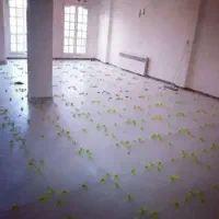 کاشی کاری و سرامیک کاری