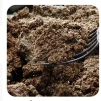 فروش کود گوسفندی