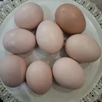 تخم مرغ محلی تازه