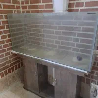 آکواریوم سالم