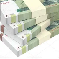 سرمایه از من کار از شما