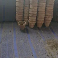 گلدان سفالی