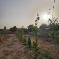 ۳۴۷۰ متر زمین بامجوز کردان کوهسار قابل تهاتر|فروش زمین و ملک کلنگی|کوهسار (البرز), |دیوار