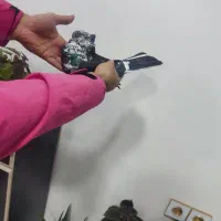 کفتر قاره قوژ