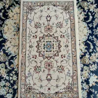 پادری نو