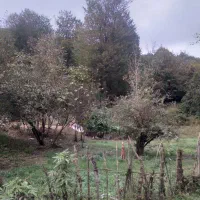 ۲۹۷متر زمین با ویو  فوق العاده