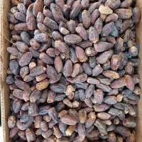 خرمای خاصه تمیز مخصوص بسته بندی