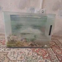 آکواریوم با شیشه خم