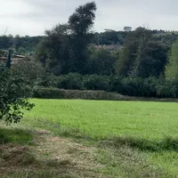 اجاره روزانه/هفتگی/کلبهای جنگلی لب رودخونه ۴۵ متری|اجارهٔ کوتاه‌مدت آپارتمان و سوئیت|بابل, |دیوار