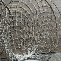 تله کفتریا کبوتر