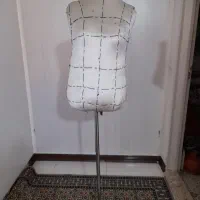 مانکن سوزن خور
