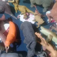 فیگور حیوانات کلکسیونی|کلکسیون و سرگرمی|تنکابن, |دیوار