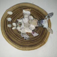 دیوار کوب سنگهای عقیق