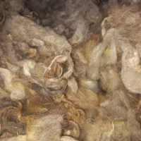 پشم گوسفندی|رختخواب، بالش، پتو|سهند, |دیوار