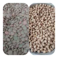 خوشمزه های۰خانگی|خوردنی و آشامیدنی|بدره, |دیوار
