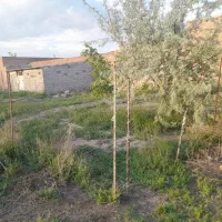 فروش زمین مسکونی|فروش زمین و ملک کلنگی|ملکان, |دیوار