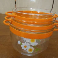 ظروف نگهدارنده غذا نو