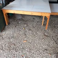 میز ،میز کار،|میز تحریر و کامپیوتر|تنکابن, |دیوار