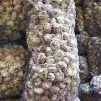 فقط120|خوردنی و آشامیدنی|پارسآباد, |دیوار