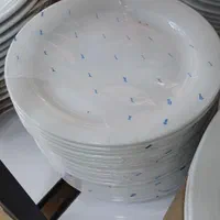 پلوخوری چینی زرین درجه یک|ظروف سرو و پذیرایی|کرج, مصباح|دیوار