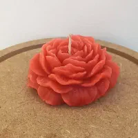 باکس گل جاویدان ، شمع های تکی|صنایع دستی و سایر لوازم تزئینی|سبزوار, امیر کبیر|دیوار