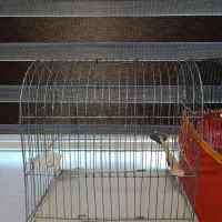 دوتاقفس کاملاسالم|لوازم جانبی حیوانات|ایلام, |دیوار