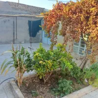 رهن و اجاره خانه|اجارهٔ خانه و ویلا|نیریز, |دیوار