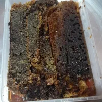عسل صندوق بدونه شکر