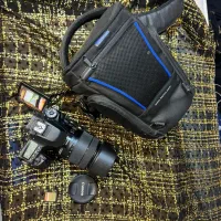 دوربین کنون Canon EOS 80D DSLR|دوربین عکاسی و فیلمبرداری|شیراز, قصرالدشت|دیوار