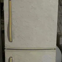 یخچال فریزر الکترو استیل