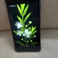 گوشی
